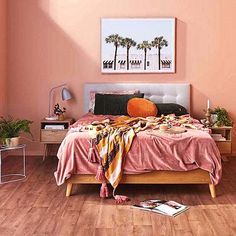 a bedroom with pink walls and wooden flooring has a bed covered in an orange blanket