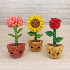 three crocheted flower pots with flowers in them