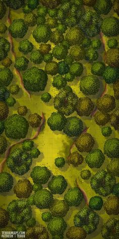 an aerial view of broccoli on a yellow background