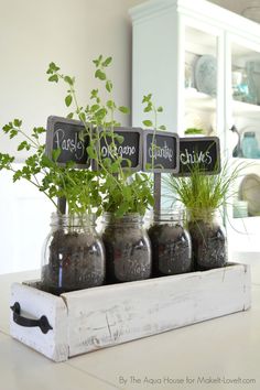 four mason jars with plants in them are sitting on a counter top and labeled herbs