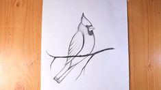 a drawing of a bird sitting on a branch