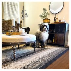 a dog sitting on the floor in front of a living room with furniture and decor