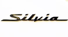 the word silivia is written in black on a white background with gold accents