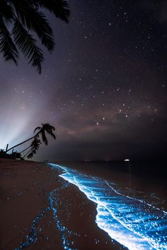 the beach is lit up with blue lights and stars in the night sky above it