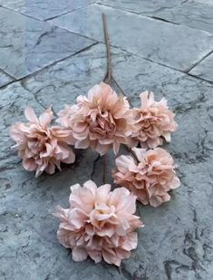 some pink flowers are laying on the ground