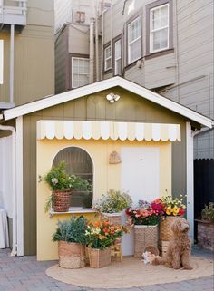 a dog sitting in front of a small house with flower pots on the porch and potted plants outside