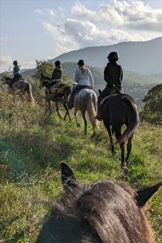 Horse riding holiday in Tuscany, Italy Horse Riding Holiday, Riding Holiday, Horse Wedding, Horse Trail, Bay Horse, Andes Mountains, The Big City, How To Book, Sun Setting