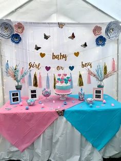 Gender Reveal Shooters, Male Gender Reveal Outfit, Gender Reveal Ideas For Party Outside, Theme For Gender Reveal, Gender Reveal Decoration Ideas For Party, Gender Reveal Ideas For Decoration, Decoration For Gender Reveal Party, Gender Reveal Main Table Ideas, Simple Gender Reveal Party Decorations Cute Ideas