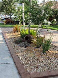 a garden with rocks and plants in the center, along side a sidewalk that leads to a house