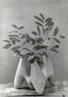 black and white photograph of two vases with plants in them sitting on a table