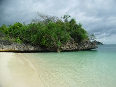 an island in the ocean with trees growing out of it