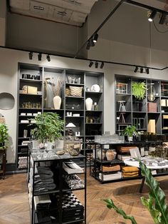 a room filled with lots of different types of furniture and plants on shelves next to each other