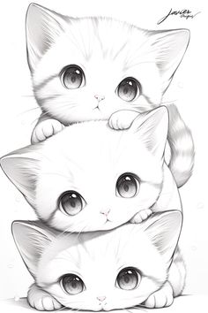 three white kittens sitting on top of each other with their heads resting on one another