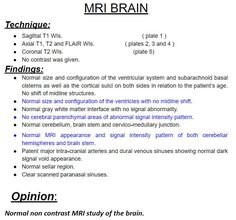 an image of the brain and its functions