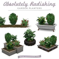 an assortment of garden planters with plants in them