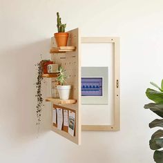 a shelf that has some plants on top of it and pictures hanging from the wall