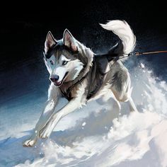 a painting of a husky dog running in the snow with his leash tied to its mouth