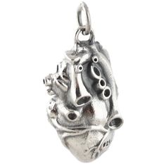 "3-Dimensional Anatomical Heart Charm Pendant Details: - Anatomical heart charm is made of genuine 925 sterling silver - Stamped 925 - 3-Dimensional (3D) - valves are anatomically correct on the front and back - Measures approx 22mm x 14mm (7/8\" x 9/16\") - Includes a 5mm soldered jump ring Shipping Details: - All orders are shipped within 1 to 2 business days from California, US - Shipping time frames may become a bit longer as gift-giving holidays approach. Let us know if something is needed Silver Heart Charms With Lobster Clasp, Sterling Silver Heart Charms, Heart-shaped Sterling Silver Charms, Nickel-free Sterling Silver Heart Pendant Charm, Silver Heart Pendant Charm In Sterling Silver, Silver Heart-shaped Sterling Silver Charms, Silver Sterling Silver Heart Pendant Charms, Silver Heart Shaped Sterling Silver Charms, Silver Sterling Silver Heart Charms