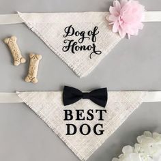 a dog bandana with a bow tie and bone bones on it, next to flowers