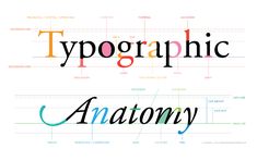 the words typographic and anatomy written in different colors