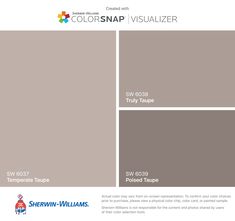 the colorsnap visualizer color swatches are shown in shades of gray, brown and