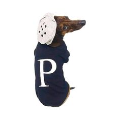 a dog wearing a t - shirt with the letter p on it's back