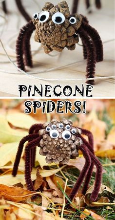 pinecone spider made with googly eyes and the caption reads, how do you make these?