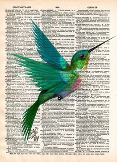 a colorful bird flying over an open book page with words written in english and spanish