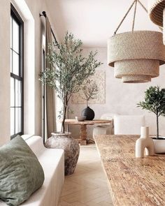 a living room filled with white furniture and lots of plants on top of it's tables