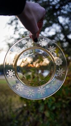 a person holding a glass plate with snowflakes on the inside and outside, in front of some trees