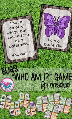 the bugs who am i? game for preschool