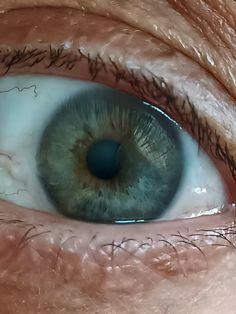 Natural Eye Colors, Natural Eyes, Eye Color, Your Eyes, Beauty, Color