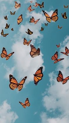 a group of butterflies flying through the air in front of a blue sky with white clouds