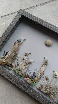 some rocks and plants in a shadow box