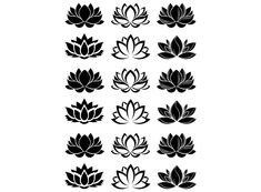 black and white lotus flower silhouettes on a white background stock photo - budget conscious