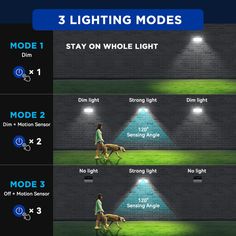 three lighting modes for dogs to use in the night time, with instructions on how to use them