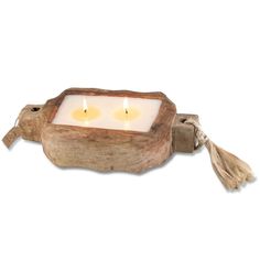 Himalayan® Sunlight Forest Driftwood Small Tray Candle - GRACEiousliving.com Driftwood Candle, Green Fig, Warm Fragrance, Dark Rum, Candle Maker, Small Tray, Black Currants, Candle Tray, Wood Candles