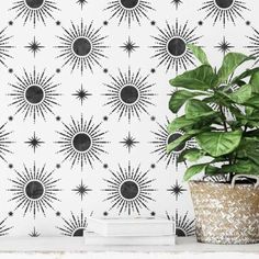 a potted plant sitting on top of a white table next to a wallpaper