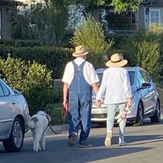 two men walking their dogs down the street with cars behind them and houses in the background