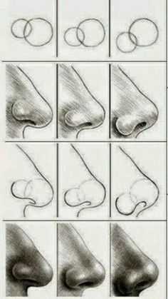 how to draw nose step by step for beginners, with pictures and text below