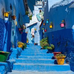 the stairs lead up to blue buildings with potted plants on each side and hanging decorations above them