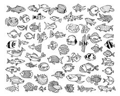 a black and white drawing of many different types of fish