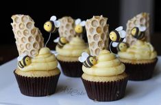 cupcakes decorated with bees and honeycombs on a plate