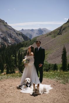 a bride and groom pose with their dogs in the mountains