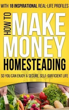 homestead income Make Money Homesteading, Food Shelf Life, Types Of Farming, Self Sufficient, Mini Farm, Homemade Soap Recipes, Rat Race