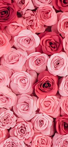 many pink roses are arranged together in the shape of a wallpaper or paper flower