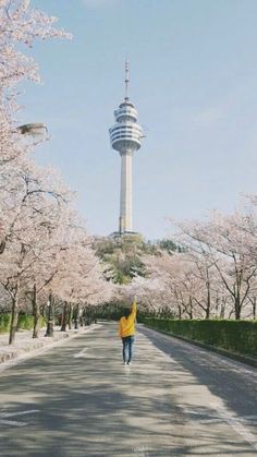 a person is walking down the street in front of cherry blossom trees and a tower