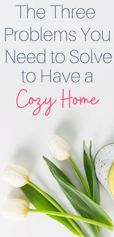 some tulips and a pair of shoes on a white surface with the words, the three problems you need to solve to have a cozy home