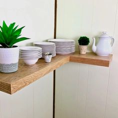 there are many plates and cups on the shelf with a potted plant next to it