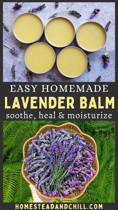 Lavender Salve, Healing Salve Recipe, Herbal Remedies Recipes, Săpunuri Handmade, Salve Recipes, Herbal Salves, Healing Salves, Herbal Recipes, Natural Healing Remedies